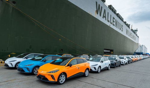 果然,欧洲制裁国产新能源车只是手段,让我们过去建厂才是目的