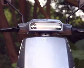 邓超同款座驾台铃狮子实测,售价3899元起,最大续航180km